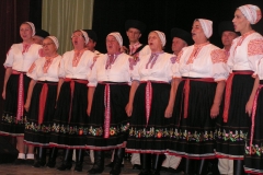 Prestárli Prečín 2013 033