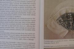 Prečínsky spevník